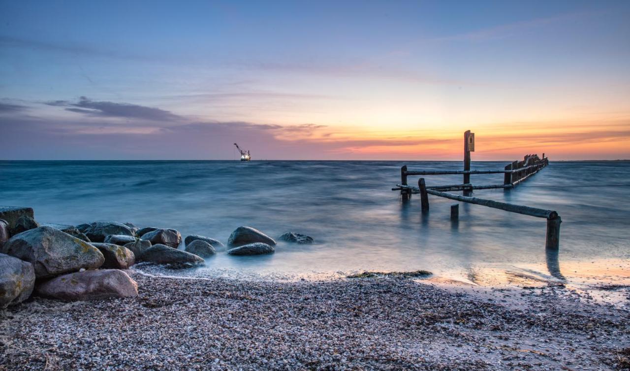 Haus 54 Pansiyon Zingst Dış mekan fotoğraf